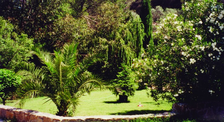 Le Beau Vezé Provence-Alpes-Côte d'Azur - Carqueiranne visuel 6/10