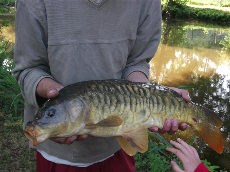 le Beauchêne Das Loire-Gebiet - Avrillé visuel 18/18 le Beauchêne Das Loire-Gebiet - Avrillé visuel 18/18