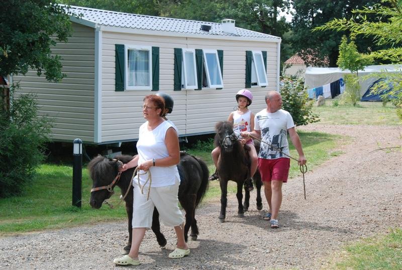le Beauchêne Das Loire-Gebiet - Avrillé visuel 13/18 le Beauchêne Das Loire-Gebiet - Avrillé visuel 13/18