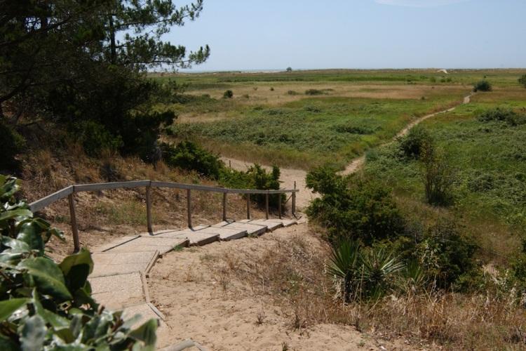 Le Bellevue Das Loire-Gebiet - La Tranche-sur-Mer visuel 10/11
