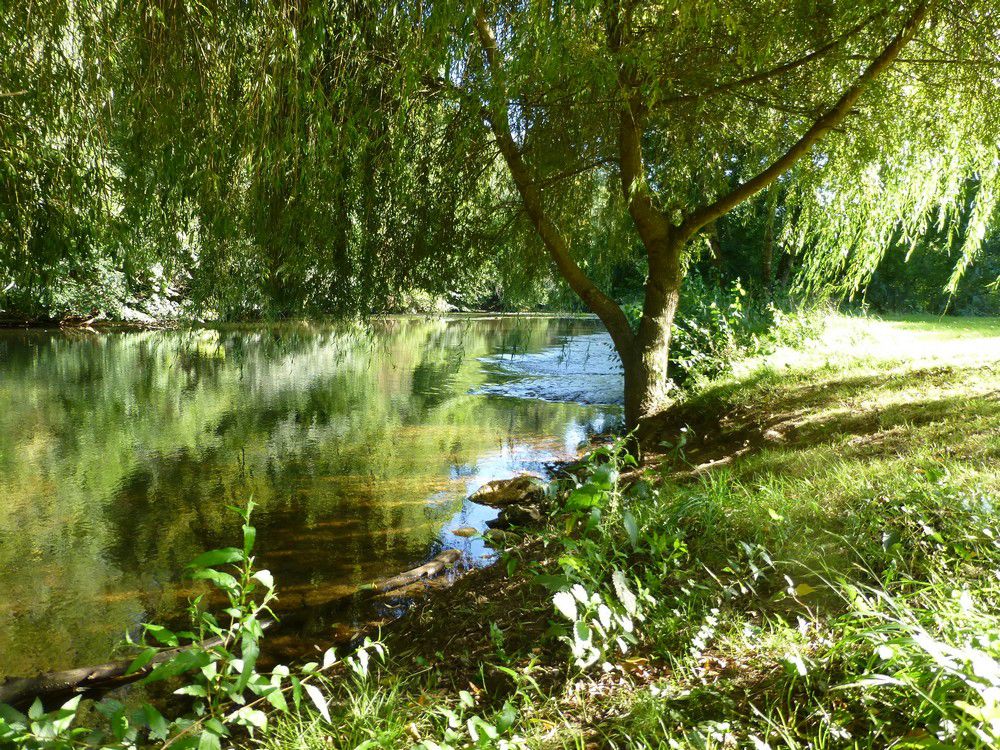 Le Bois de Coderc Aquitanien - Antonne-et-Trigonant visuel 2/7