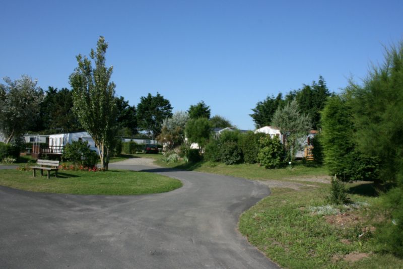 le Bois des Pins Picardie - Cayeux-sur-Mer visuel 2/10 le Bois des Pins Picardie - Cayeux-sur-Mer visuel 2/10