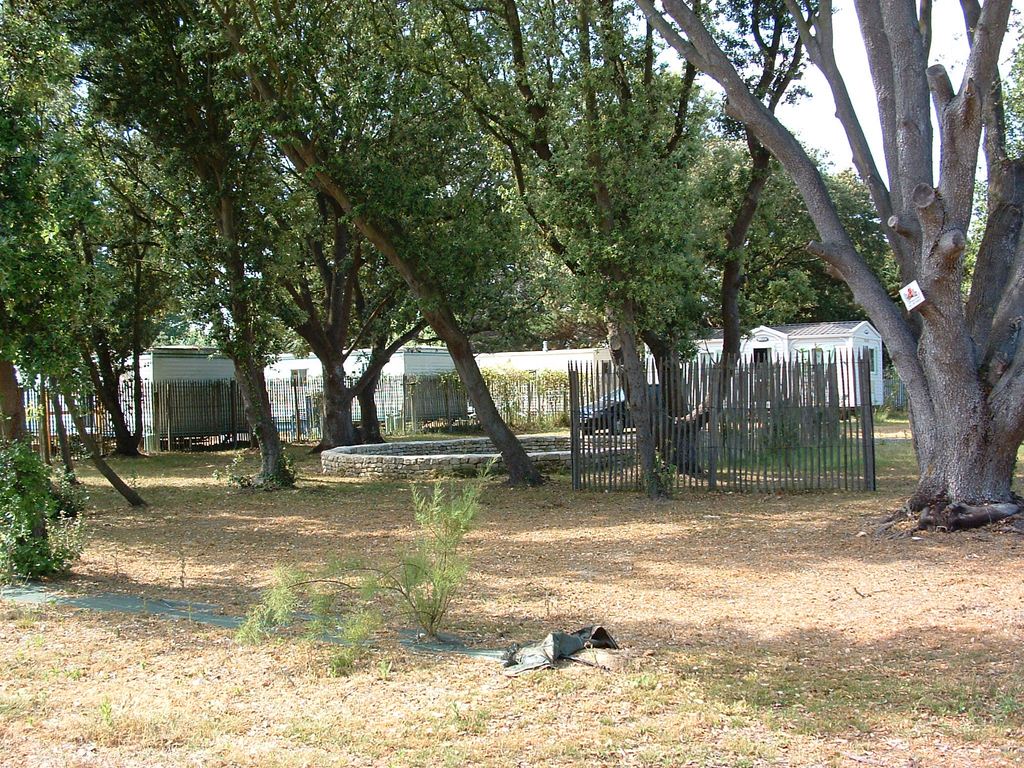 Le Bois Henri IV Poitou-Charentes - La Couarde-sur-Mer visuel 1/1