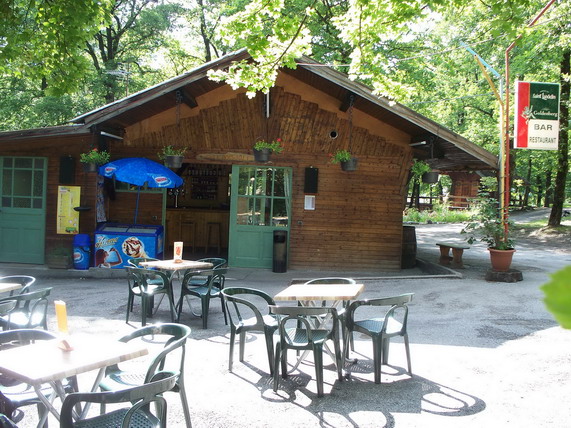 Le Bois Joli Rhône-Alpen - Saint-Martin-sur-la-Chambre visuel 1/10 Le Bois Joli Rhône-Alpen - Saint-Martin-sur-la-Chambre visuel 1/10