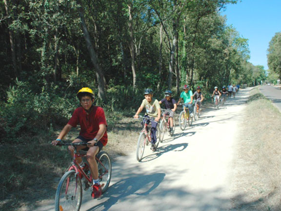 Le Bois Soleil Das Loire-Gebiet - Olonne-sur-Mer visuel 6/15