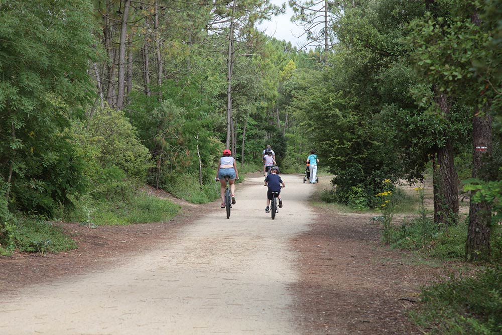 Le California Das Loire-Gebiet - Saint-Jean-de-Monts visuel 12/18