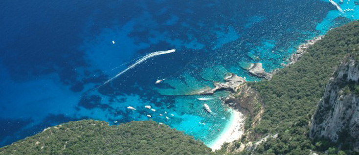 Le Cernie Sardinien - Lotzorai visuel 1/10