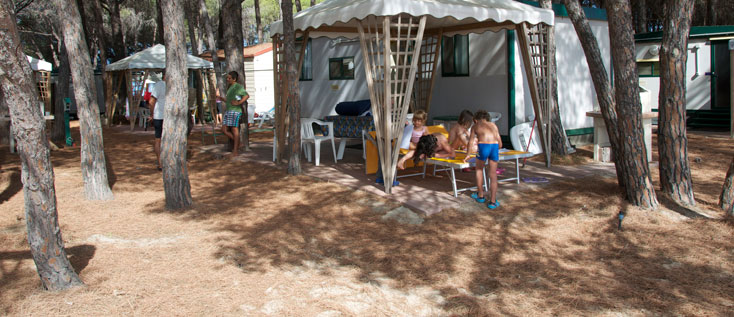 Le Cernie Sardinien - Lotzorai visuel 8/10