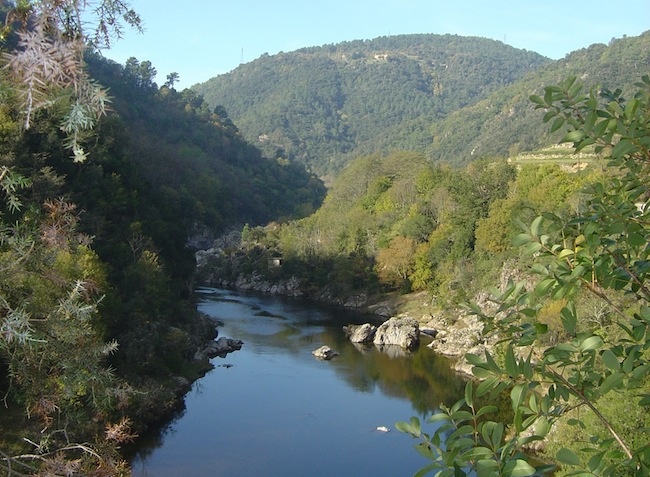 Coeur d'Ardèche Rhône-Alpen - Saint-Vincent-de-Durfort visuel 5/8