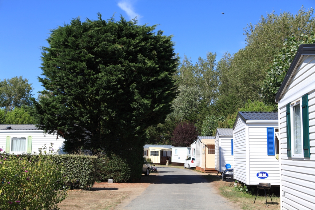 Le Château Das Loire-Gebiet - Saint-Hilaire-de-Riez visuel 10/11 Le Château Das Loire-Gebiet - Saint-Hilaire-de-Riez visuel 10/11