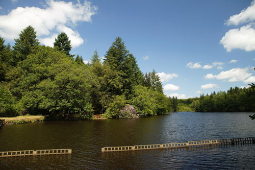 Le Château de Leychoisier Limousin - Bonnac-la-Côte visuel 5/10 Le Château de Leychoisier Limousin - Bonnac-la-Côte visuel 5/10