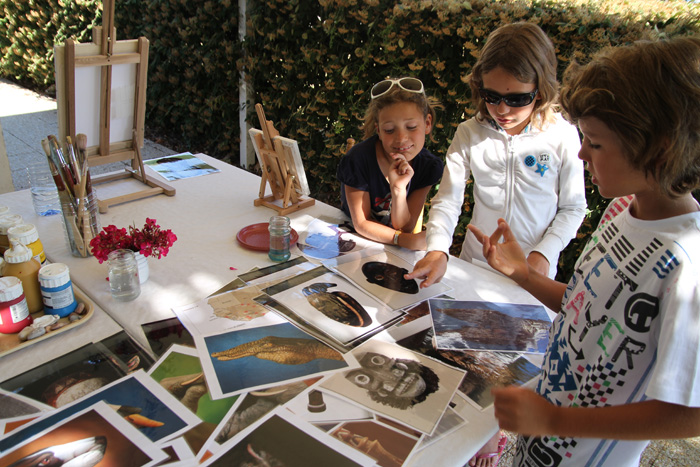 LE CHATEAU DE TREAMBERT EST Das Loire-Gebiet - Mesquer visuel 5/5