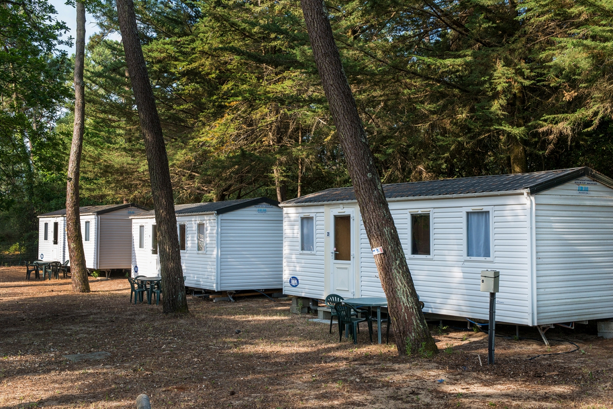 Le Chenal Das Loire-Gebiet - Saint-Jean-de-Monts visuel 3/9 Le Chenal Das Loire-Gebiet - Saint-Jean-de-Monts visuel 3/9