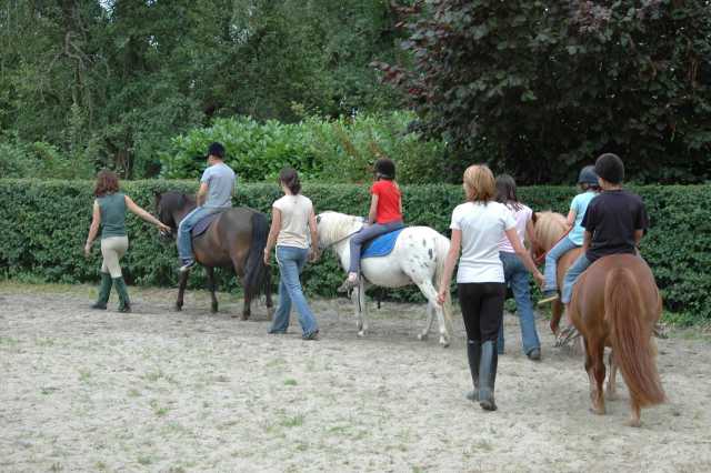 Le Chenal Das Loire-Gebiet - Saint-Jean-de-Monts visuel 8/9 Le Chenal Das Loire-Gebiet - Saint-Jean-de-Monts visuel 8/9