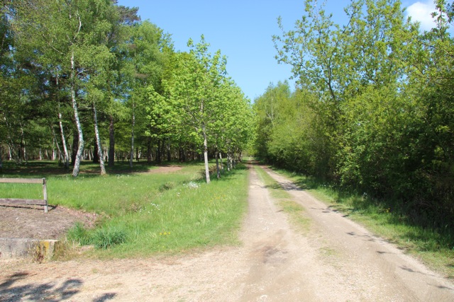 Le Chêne Großes Zentrum - Pruniers-en-Sologne visuel 2/6 Le Chêne Großes Zentrum - Pruniers-en-Sologne visuel 2/6