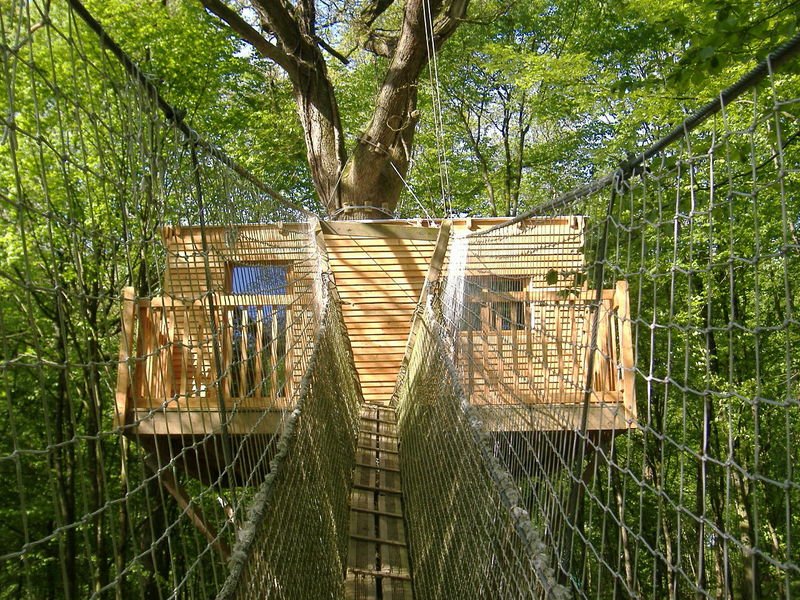 Le Chêne Perché  Champagner-Ardennen - Signy-l'Abbaye visuel 1/9 Le Chêne Perché  Champagner-Ardennen - Signy-l'Abbaye visuel 1/9