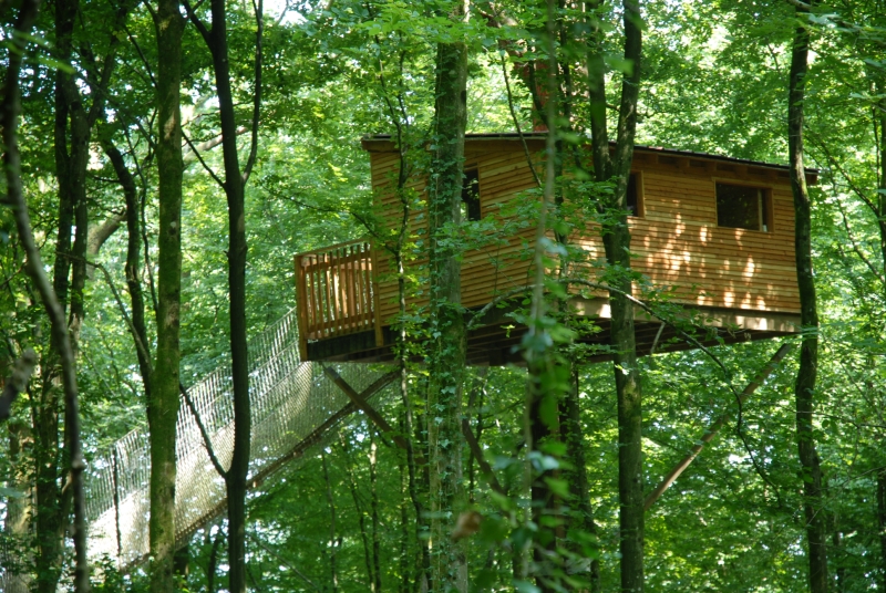 Le Chêne Perché  Champagner-Ardennen - Signy-l'Abbaye visuel 2/9 Le Chêne Perché  Champagner-Ardennen - Signy-l'Abbaye visuel 2/9