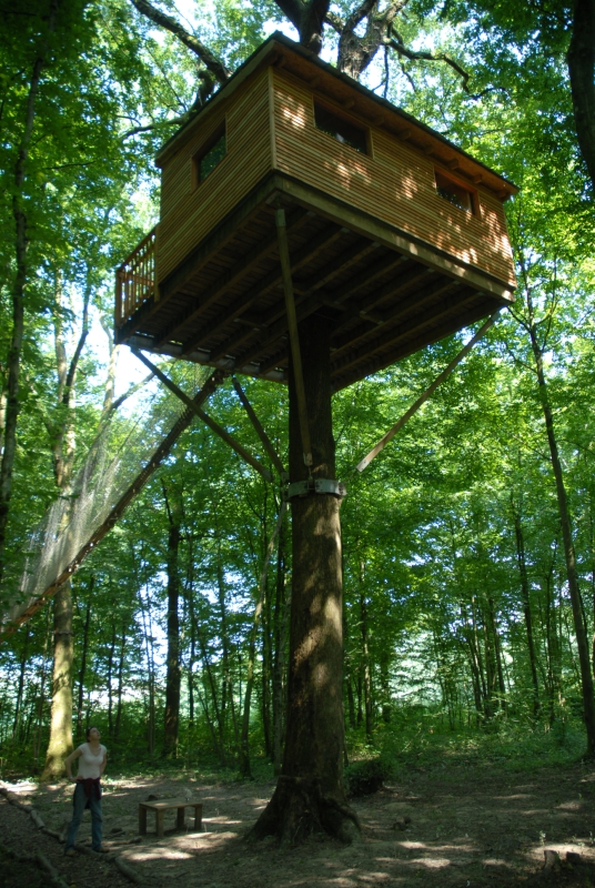 Le Chêne Perché  Champagner-Ardennen - Signy-l'Abbaye visuel 3/9 Le Chêne Perché  Champagner-Ardennen - Signy-l'Abbaye visuel 3/9