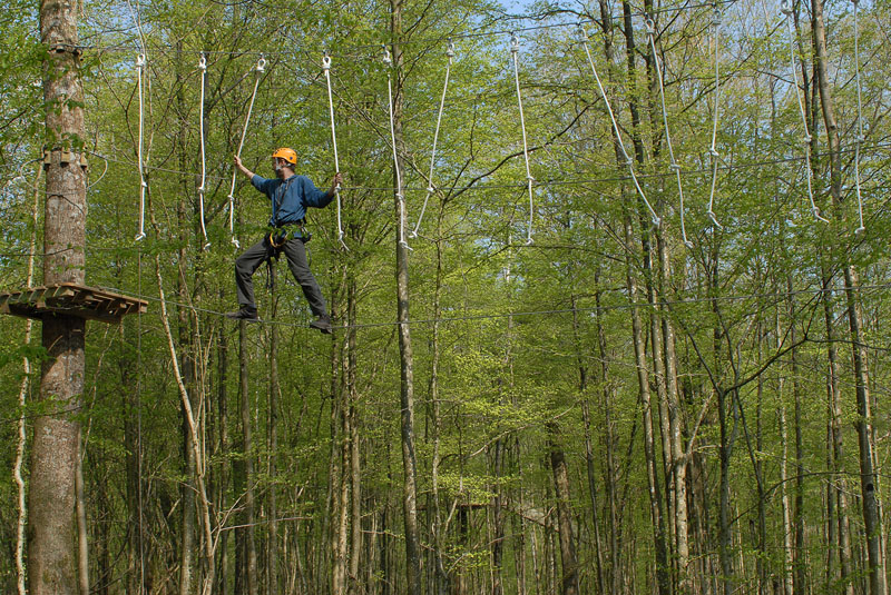 Le Chêne Perché  Champagner-Ardennen - Signy-l'Abbaye visuel 5/9 Le Chêne Perché  Champagner-Ardennen - Signy-l'Abbaye visuel 5/9