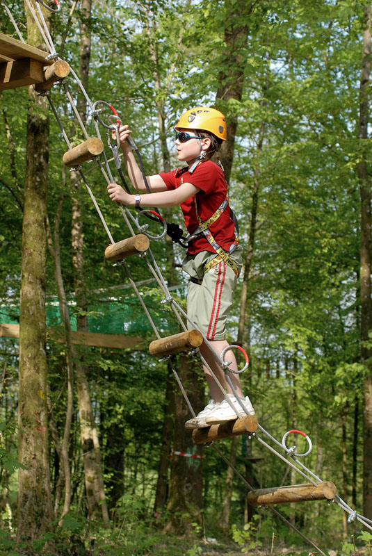 Le Chêne Perché  Champagner-Ardennen - Signy-l'Abbaye visuel 6/9 Le Chêne Perché  Champagner-Ardennen - Signy-l'Abbaye visuel 6/9