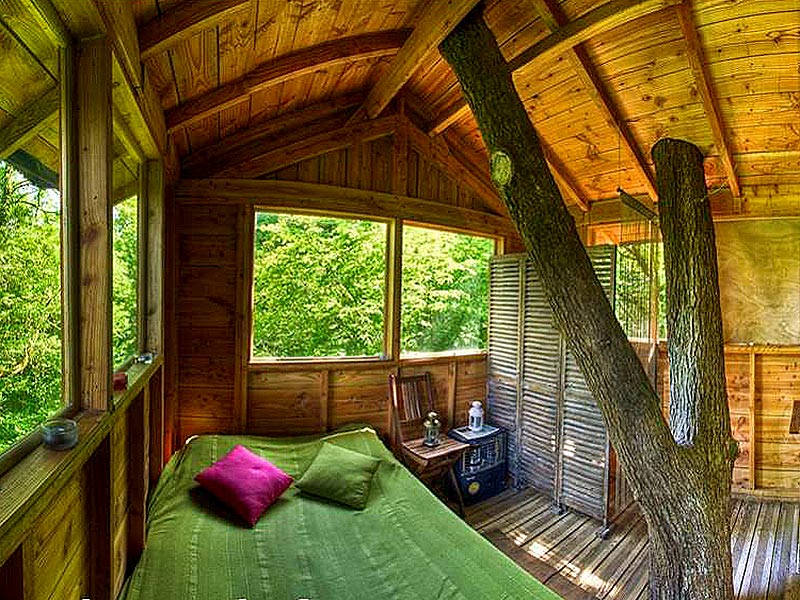 Le Chêne Perché  Champagner-Ardennen - Signy-l'Abbaye visuel 7/9 Le Chêne Perché  Champagner-Ardennen - Signy-l'Abbaye visuel 7/9