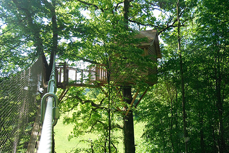 Le Chêne Perché  Champagner-Ardennen - Signy-l'Abbaye visuel 8/9 Le Chêne Perché  Champagner-Ardennen - Signy-l'Abbaye visuel 8/9