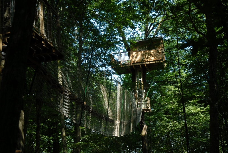 Le Chêne Perché  Champagner-Ardennen - Signy-l'Abbaye visuel 9/9 Le Chêne Perché  Champagner-Ardennen - Signy-l'Abbaye visuel 9/9