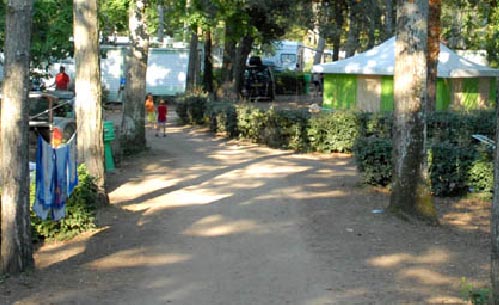 Le Clos des Pins Das Loire-Gebiet - Longeville sur Mer visuel 6/10