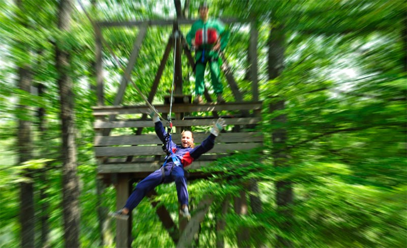 Le Coiroux Limousin - Aubazine visuel 11/11