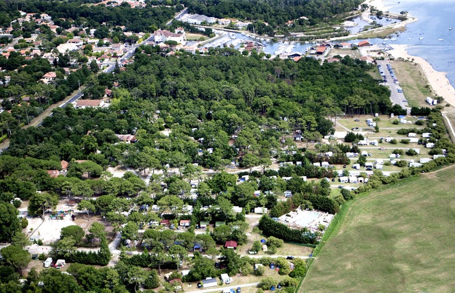 Le Coq Hardi Aquitanien - Lanton visuel 4/9
