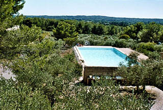 Domaine des Oliviers de Provence Provence-Alpes-Côte d'Azur - Mouriès visuel 1/2 Domaine des Oliviers de Provence Provence-Alpes-Côte d'Azur - Mouriès visuel 1/2
