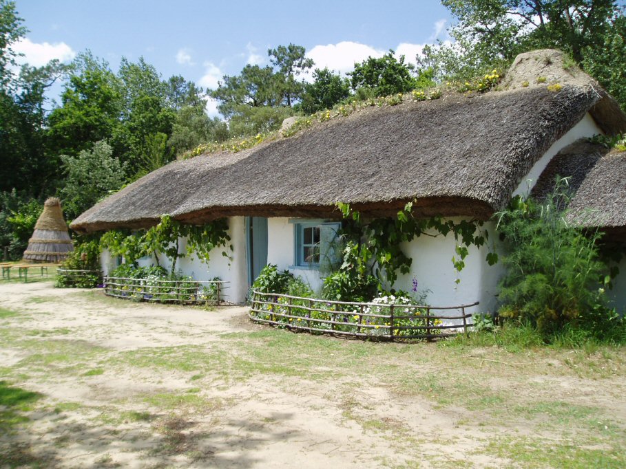 Le Domaine des Pins Das Loire-Gebiet - Saint-Hilaire-de-Riez visuel 3/11 Le Domaine des Pins Das Loire-Gebiet - Saint-Hilaire-de-Riez visuel 3/11