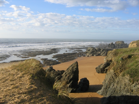 Le Domaine des Pins Das Loire-Gebiet - Saint-Hilaire-de-Riez visuel 4/11 Le Domaine des Pins Das Loire-Gebiet - Saint-Hilaire-de-Riez visuel 4/11