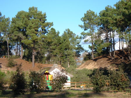 Le Domaine des Pins Das Loire-Gebiet - Saint-Hilaire-de-Riez visuel 6/11 Le Domaine des Pins Das Loire-Gebiet - Saint-Hilaire-de-Riez visuel 6/11