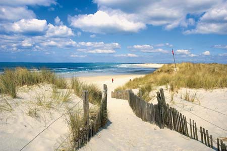 Le Domaine des Pins Das Loire-Gebiet - Saint-Hilaire-de-Riez visuel 9/11 Le Domaine des Pins Das Loire-Gebiet - Saint-Hilaire-de-Riez visuel 9/11