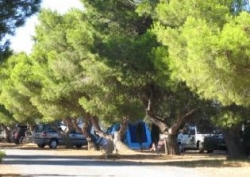 Le Fun Languedoc-Roussillon - Fitou visuel 1/2 Le Fun Languedoc-Roussillon - Fitou visuel 1/2