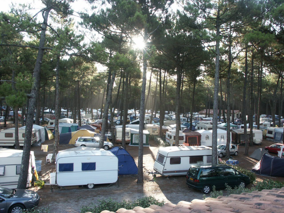 Le Grand Crohot Aquitanien - Lège Cap Ferret visuel 5/5