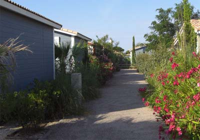 Le Hameau des Canisses Languedoc-Roussillon - Gruissan visuel 6/11 Le Hameau des Canisses Languedoc-Roussillon - Gruissan visuel 6/11