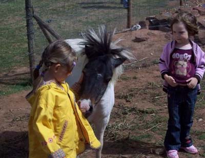 Le Hameau des Genêts Midi-Pyrénées - Montlaur visuel 6/10 Le Hameau des Genêts Midi-Pyrénées - Montlaur visuel 6/10