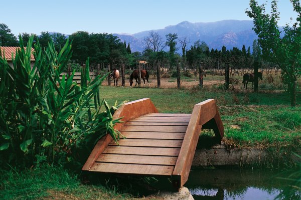 Le Haras Languedoc-Roussillon - Palau-del-Vidre visuel 4/10 Le Haras Languedoc-Roussillon - Palau-del-Vidre visuel 4/10