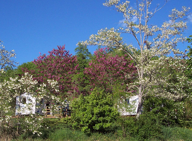 Le Lac Midi-Pyrénées - Marciac visuel 6/8 Le Lac Midi-Pyrénées - Marciac visuel 6/8