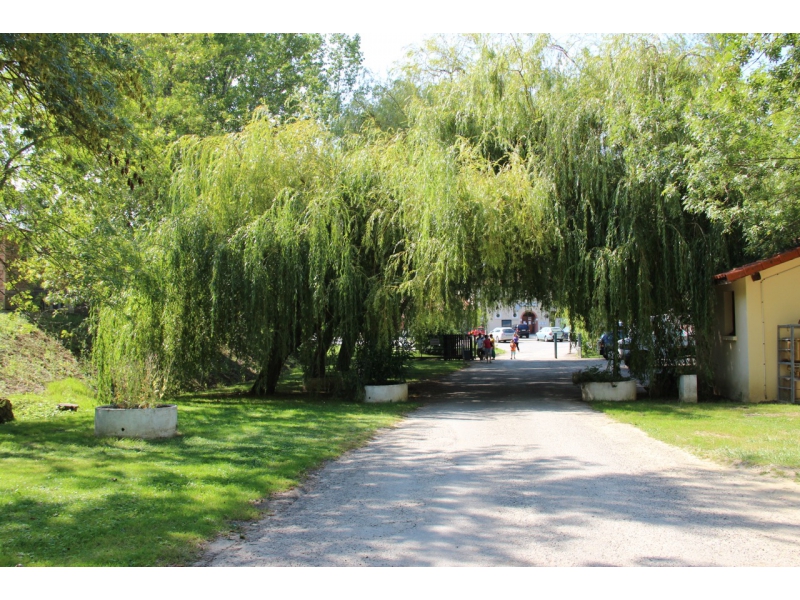 Le Lac de la Thesauque Midi-Pyrénées - Montgeard visuel 3/4