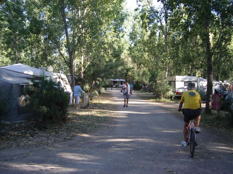 Le Lamparo Languedoc-Roussillon - Sainte Marie la Mer visuel 6/10