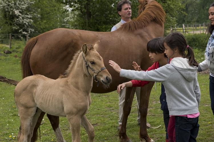 Le Lieu Dieu Picardie - Beauchamps visuel 7/8 Le Lieu Dieu Picardie - Beauchamps visuel 7/8