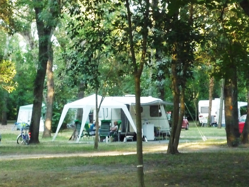 Le Lion Rhône-Alpen - Bourg-Saint-Andéol visuel 4/11 Le Lion Rhône-Alpen - Bourg-Saint-Andéol visuel 4/11