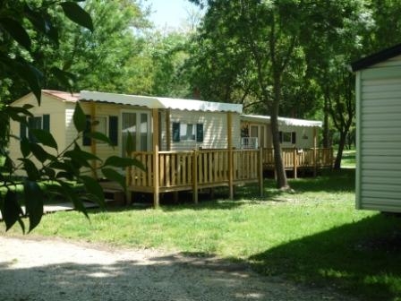 Le Lion Rhône-Alpen - Bourg-Saint-Andéol visuel 5/11 Le Lion Rhône-Alpen - Bourg-Saint-Andéol visuel 5/11