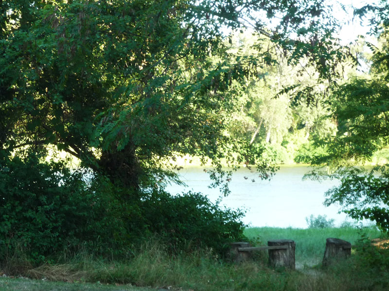 Le Lion Rhône-Alpen - Bourg-Saint-Andéol visuel 6/11 Le Lion Rhône-Alpen - Bourg-Saint-Andéol visuel 6/11