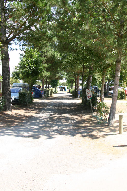 Le Littoral Das Loire-Gebiet - Brem sur Mer visuel 7/10