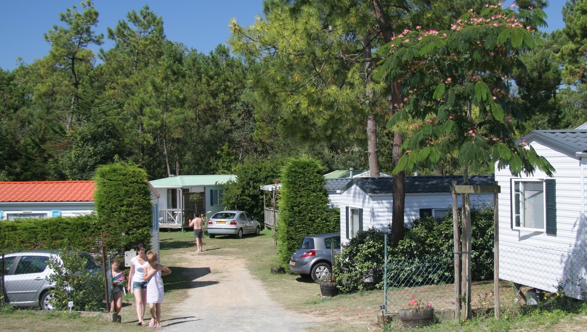 Le Logis Das Loire-Gebiet - Saint-Jean-de-Monts visuel 2/3 Le Logis Das Loire-Gebiet - Saint-Jean-de-Monts visuel 2/3