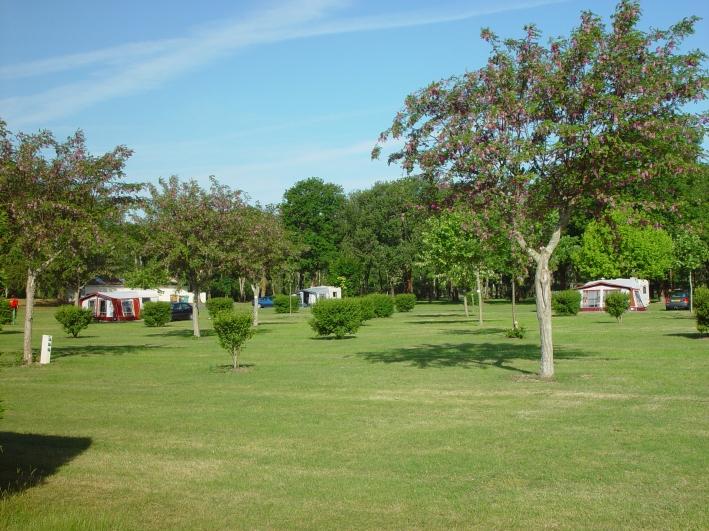 Le Logis du Breuil Poitou-Charentes - Saint-Augustin visuel 6/10